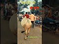 @CrazyXYZ @CGkiVINES @VIDEOWORLDRAIPUR
