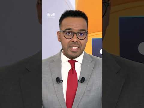 تيمو وشي إن ترفعان الأسعار