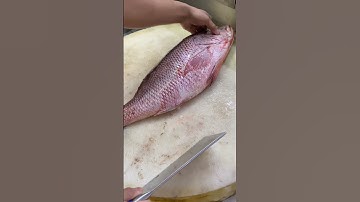 Amazing Golden Snapper Fish Clean Skill#shortsvideo #youtube #youtubeshorts #shorts