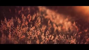 Chillstep 43 (The Kite String Tangle - Words )