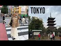 Tokyo vlog 🇯🇵♥️