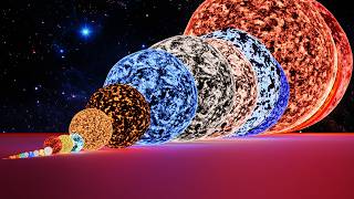 Stars Size Comparison From Smallest to Largest 3D Animation!