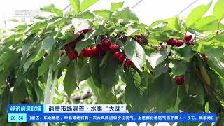 [经济信息联播]消费市场调查·水果“大战” 味美价优 国产樱桃“迎战”进口车厘子| 财经风云