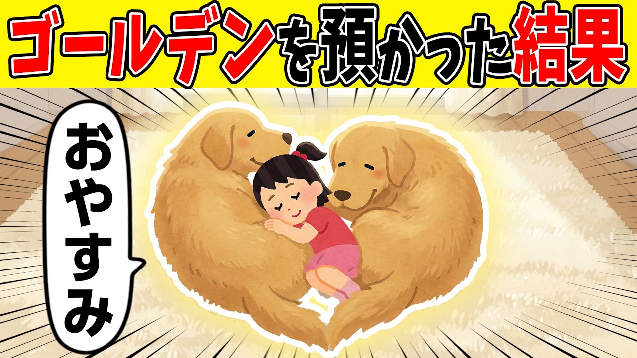 【㊗️10万再生！！】【号泣】3歳児「おっきいねえ…」親戚が飼えなくなったゴールデン2匹を預かることになった結果【ゆっくり】