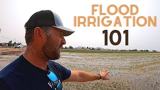 Flood Irrigation 101