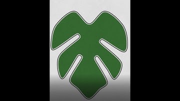 Shape Fold Nature Game Walkthrough| Level 4-6