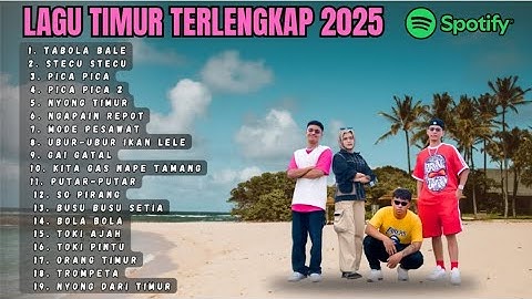 PLAYLIST PALING LENGKAP‼️LAGU TIMUR Viral Sekarang! Stecu Stecu, Pica Pica, Tabola Bale & Lainnya 🎧