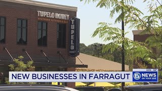 New businesses booming in Farragut as population grows