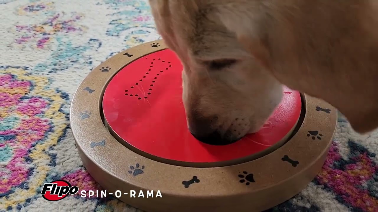 Brainiac Disc-O™ Treat Dispensing Pet Toy