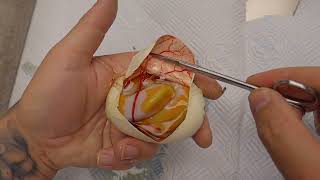 Amazing Dreamsicle Clutch