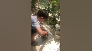 Plant Trees Save Mother Earth Save Nature