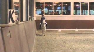 Matthieu Van Dinteren Met Misty 15-12-2012