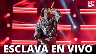 ANUEL cantando “ESCLAVA” ACAPELA EN VIVO en Honduras🇭🇳!! 😱😱