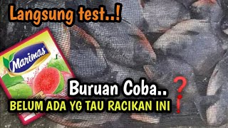 THE GACOR IS SO VERY SERIOUS❗️ THE BUOY KEEPS TRICKING USING MARIMAS' MIX, THE BAWAL FISH ARE FIG...