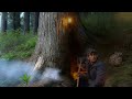 Building Complete and Warm Survival Shelter Inside a Giant Tree