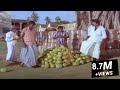 எவன் வீட்டு இளனிய எவன் சாப்பிடறது ? திருட்டு பசங்களா || கவுண்டமணி செந்தில் வடிவேலு காமெடி