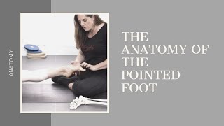 Anatomy of the Pointed Foot