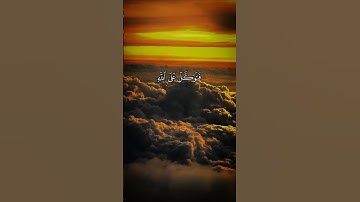 سورة النمل ❤ #قرآن #المصحف #اكسبلور #لايك #quran
