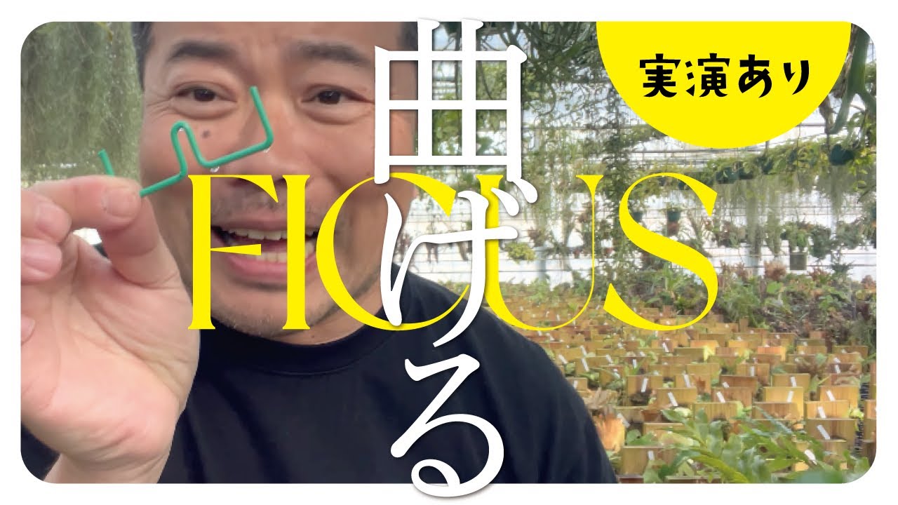 WOWフィカスを曲げる⁉クリップの作り方を解説 - YouTube