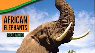 Details African Elephants by Kari Schuetz | Read Aloud | YouTube Books for Kids Guide