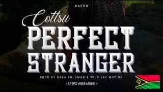 Cottsii - Perfect Stranger ( Baka Solomon x Wild Jay Motion )2024. 🇸🇧