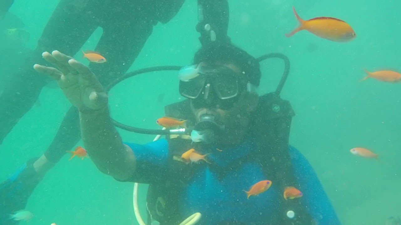 Andaman SCUBA Diving YouTube