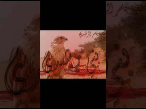 شيلة ربعي الهدبان و بني رشيدي كلمات سليم دغيمان القلادي اداء معيض الرشيدي