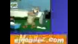 Tom & Jerry6