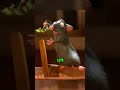 Did You Know This Detail In Ratatouille 