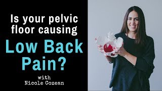 Is your back pain caused by pelvic floor dysfunction? Interview w/ Nicole Cozean