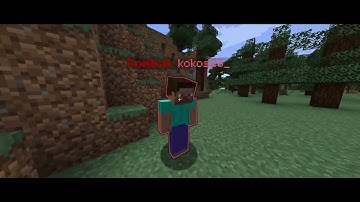 fivem.team hit MC Server