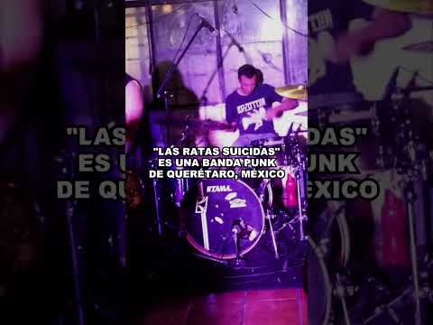 Las Ratas Suicidas - Mamá Quiero Ser Drag Queen (Suena en la Playlist)