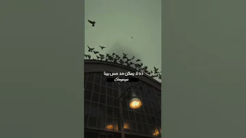 Ya Zemely يا زميلي Mohab مهاب 