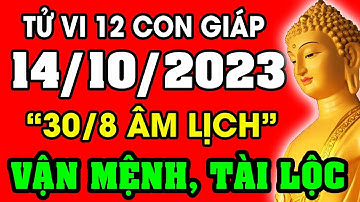 Tử vi hàng ngày 12 con giáp ngày 14/10/2023: Xem Vận Mệnh, Tài Lộc, Sự Nghiệp, Tình Duyên, Sức Khỏe