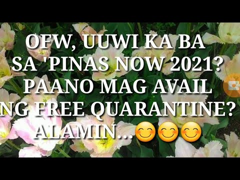 Video: Paano I-Quarantine Ang Iyong Alaga