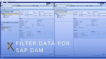 Filter Data for SAP Dynamic Authorization Management (DAM)
