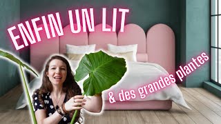 On a trouvé UN LIT COFFRE et des grandes plantes en don sur Le Bon Coin!!! by Le Voyage d’Audrey 7,314 views 6 months ago 17 minutes