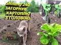 ОБГОРТАЮ КАРТОПЛЮ ПО СИРОМУ