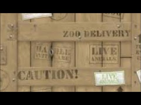 wickedsick Livestream: Our New Python Needs a Name!