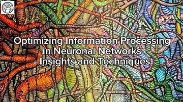 Optimizing Information Processing in Neuronal Networks - Insights and Techniques