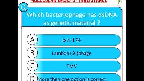 Molecular Basis Of Inheritance MCQ for NEET | Mock Test | NEET Biology | NEET 2022