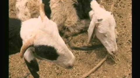 Plaza Middle School Broadcast October 11, 2012