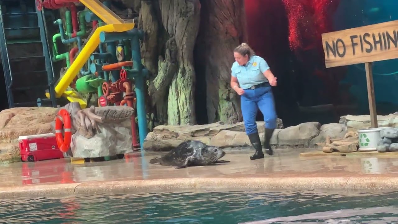 SeaWorld seal show 