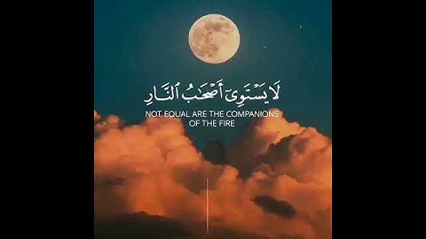 ولا تكونوا كالذين نسوا الله فأنساهم أنفسهم 🌷 ماهر المعيقلي حالات واتس اب دينية قصيرة مؤثرة قرآن كريم