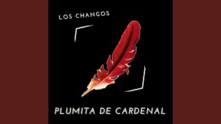 Video thumbnail of "Los Changos - Corazón Santiagueño"