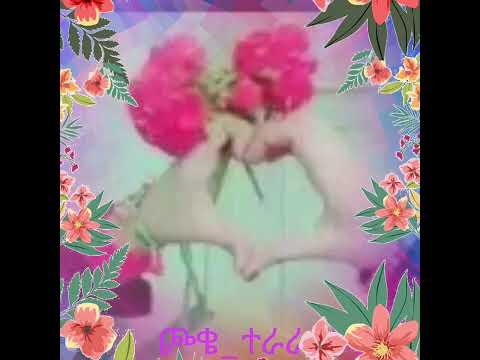 ጀግናው ምንጃር አባይ ፏፏቴ ዩቱብ Subscribe Like ያድርጉ