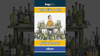 🇬🇧🇵🇱 drink like a fish - pić jak szewc : learn English : Uczmy się angielskiego : vocabulary builder