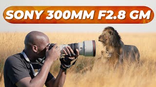 Sony 300mm f/2.8 GM OSS First Look