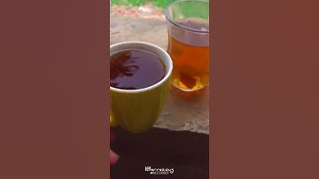 الحمد لله الذي أنزل على عبده الكتاب ولم يجعل له عوجا |سورة الكهف🕊💚 #سورة_الكهف