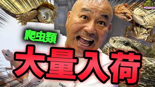 笑う動物たち …。.jpg